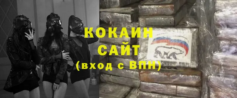 COCAIN Fish Scale  купить  сайты  Кизляр 